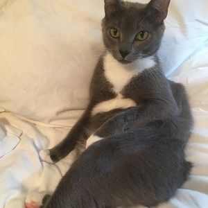 Meet your Posher, Sally